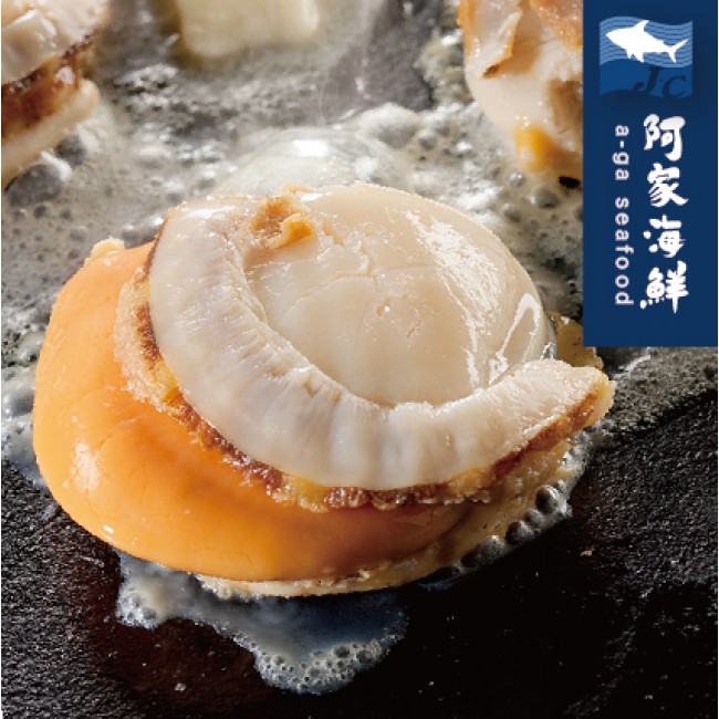 【阿家海鮮】日本熟凍帆立貝L (1kg/包.淨重800g/包) 